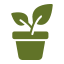 potted-plant